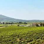 Apartamento Panorama