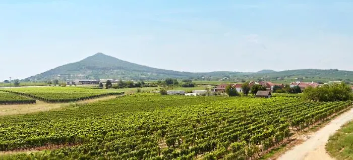 公寓 Panorama